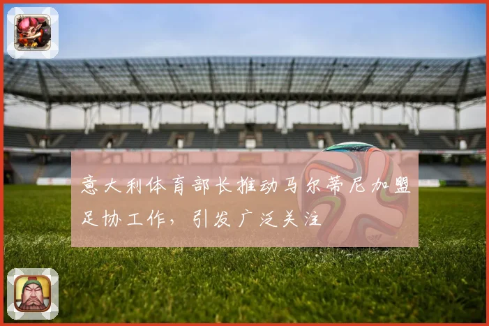 意大利体育部长推动马尔蒂尼加盟足协工作，引发广泛关注