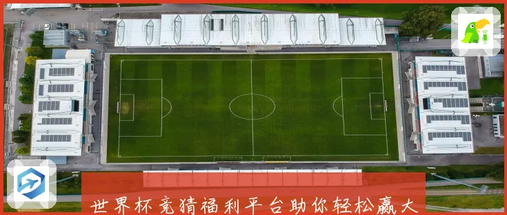 世界杯竞猜福利平台助你轻松赢大奖畅享精彩赛事体验