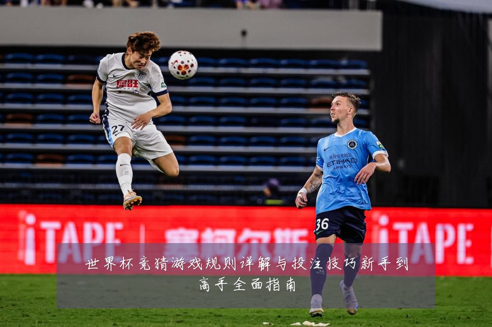 世界杯竞猜游戏规则详解与投注技巧新手到高手全面指南